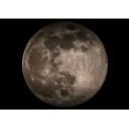 絵画風 壁紙ポスター (はがせるシール式