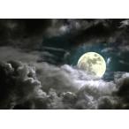 絵画風 壁紙ポスター (はがせるシール式