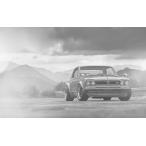 ハコスカ ポスターの最安値と通販商品 在庫あり サープラ