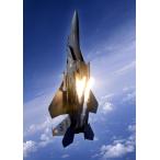  картина способ обои постер (. ... наклейка тип ) истребитель F-15E Strike Eagle вертикальный полет рис ВВС Cara черный UAFT-006A2(A2 версия 420mm×594mm)< сделано в Японии >