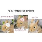 ネザーランドドワーフ うさぎオーダーお名前ウェディングドール Buyee 日本代购平台 产品购物网站大全 Buyee一站式代购 Bot Online