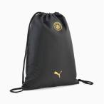 PUMA Puma 26/27 man Cesta - City MCFC ESS Jim sak черный 092911-02napsak за границей Club 13L черный 