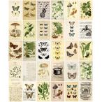  модный . симпатичный открытка 30 шт. комплект открытка размер Северная Европа Корея за границей интерьер смешанные товары Mini постер (. предмет .)