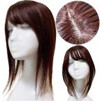 部分ウィッグ 人毛100% ヘアピース 