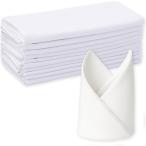 ショッピングナプキン アウプル テーブルナプキン ワイン トーション シャンパン (ホワイト 10枚セット,  約50cm x 約50cm)