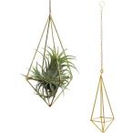  план to вешалка воздушный растения план to держатель грузоподъемность .. садоводство подставка закрытый наружный ( Gold, общая длина 48.5x ширина 8cm)