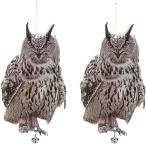  птица .. избежать товары голубь ..kalas.. летучая мышь ( сова 1, средний )