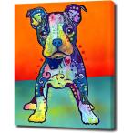  искусство panel Boston терьер собака животное W30cm H40cm искусство рама картина парусина сумма имеется wall искусство (pop064)