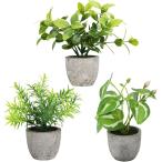 観葉植物フェイクグリーン卓上ミニサ...