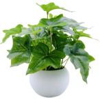 フェイクグリーン 人工観葉植物 ミニ 卓上 インテリア (アイビー,  Small)