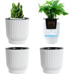  автоматика водоснабжение посадочная машина низ . горшок с водой цветочный горшок сам водоснабжение . аквариум есть декоративное растение модный ( белый, M (11.5x12cm 3 шт. комплект ))