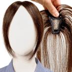 部分ウィッグ ヘアピース ポイント�