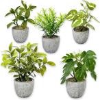 искусственная зелень декоративное растение настольный 5 позиций комплект фотокаталитический Mini интерьер модный маленький размер зеленый искусственный цветок ( зеленый, образец A)
