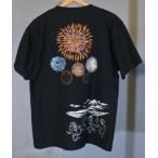 ショッピング花火 花火Ｔ