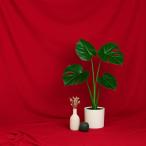  фон ткань 3m×10m супер большой один листов ткань одноцветный задний экран Studio фотосъемка оборудование орнамент многоцелевой очень большой складной ( красный )