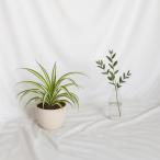  фон ткань 3m×4m большой одноцветный задний экран фотография фотосъемка для Studio многоцелевой фотосъемка ткань оборудование орнамент стирка возможность складной ( белый )