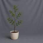  фон ткань ткань одноцветный фотосъемка для 3m×4m задний экран фотография Studio многоцелевой каждый цвет фотосъемка ткань ( серый )
