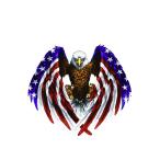 アメリカン イーグル ステッカー 鷲 米国 USA 国旗 イラスト カスタム us eagle
