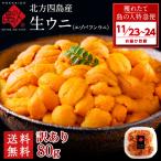 水揚げ次第お届け 生ウニ うに 島の人 北方四島産 生エゾバフンウニ 80g 色が赤い訳あり品 塩水パック 生うに 雲丹 無添加