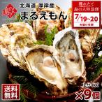 生牡蠣 かき カキ 牡蠣 北海道 厚岸産 まるえもん 殻付き 9個 Lサイズ 生食可 鍋 ギフト 内祝