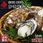 生牡蠣 かき カキ 牡蠣 北海道 厚岸産 カキえもん 殻付き 9個 Lサイズ 生食可 鍋