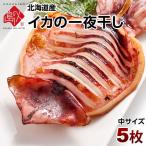 お取り寄せグルメ 北海道産 いか イカ イカ一夜干し中サイズ 5枚 セット 送料無料  (特産品 名物商品)