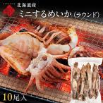  Hokkaido производство Mini сушеный кальмар .. раунд ( круг рыба )10 хвост входить остров. человек ваш заказ гурман сушеный продукт морепродукты еда кальмар .... тихоокеанский кальмар 