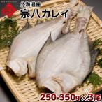 Ë̳¤Æ»»º ½¡È¬¥«¥ì¥¤ 250-350g 3Èø¥»¥Ã¥È ´³Êª ò× µû ¤ª¼è¤ê´ó¤»¥°¥ë¥á ò×