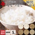 米 ななつぼし 令和6年産 5kg お米 北海道産 選べる精米方法 無洗米 白米 玄米 放射能検査済み 産地限定 送料無料