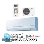 事業者様宛て送料無料！2023年モデル　MSZGV2223