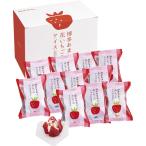 花いちごのバラエティアイス（博多あまおう） A-DR アイスクリーム 洋菓子 アイスギフト 御中元 お中元 ギフト 夏ギフト
