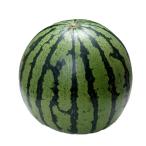 山形 尾花沢産すいか 食品 お中元 中元 ギフト 贈り物 贈答 食べ物 熨斗 のし 贈答用 プレゼント おくりもの 20230210297 代引不可