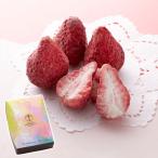 銀座千疋屋 いちごのチョコレート バレンタイン ギフト プレゼント 贈り物 贈答 記念日