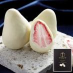 銀座千疋屋 プレミアム苺チョコ バレンタイン ギフト プレゼント 贈り物 贈答 記念日