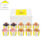 三國清三監修 北海道リッチアイス 10個セット お中元 プレゼント 御祝 ギフト 熨斗 のし スイーツ お菓子 詰め合わせ バラエティ チーズタルト 代引不可