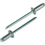 エビ ブラインドリベット 皿頭 アルミニウム/スティール製 6-3 35本入 エコパック NSA63KMP 代引不可