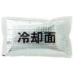 アイトス アイスパック 1個 AZ865933101F 環境改善用品 環境改善用品 暑さ対策用品 保冷剤 代引不可