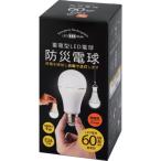 LED電球、LED蛍光灯