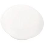 TRUSCO カラーマグネット 6個入 白 20パイ TCM206W オフィス・住設用品 オフィス備品 マグネット 代引不可