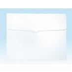 新 作品収納ケース 大 白無地 11141