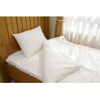 ダニゼロック.S.P ストライプ柄 防ダニ ベットパット 単品 シングル