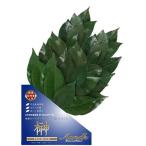 ショッピングプレミアムパッケージ A&K プレミアム榊 丹波産高級椿葉使用 Mサイズ ボリュームタイプ 一対 SKK-007PL 雑貨 代引不可