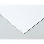 20個セット ARTEC 片面キャンバスボード 4切 ATC13004X20 雑貨 代引不可