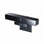  Sanwa Supply для собраний широкий линзы камера CMS-V51BK оплата при получении не возможно 