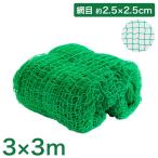 バックネット 野球 3×3m 網目2.5cm グリーン 防球ネット ネット 保護用ネット 多目的ネット ゴルフネットバッティングネット カラスよけ ゴミネット