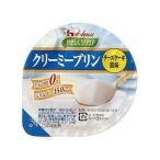 やさしくラクケア クリーミープリン たん白質0g チーズケーキ風味 63g 124801062