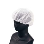 �w�A�[�l�b�g �L���b�s�[ F-2A �� �\�t�g�^�C�v 100���� ����s��