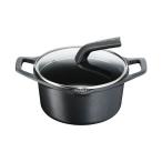T-fal ティファール シチューポット 20cm 両手鍋 ガラス蓋付き ガス火・IH対応 キャストライン アロマ プロ E25144