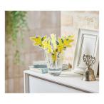 ショッピングミモザ 岩谷マテリアル どこでもモイスチャーミモザ 代引不可 メール便