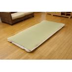 医師との共同開発 い草寝具 『アスク 汗取P』 シングル 約100×200cm